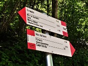 77 Siamo scesi dal Passo Barbata sul sent. 519B